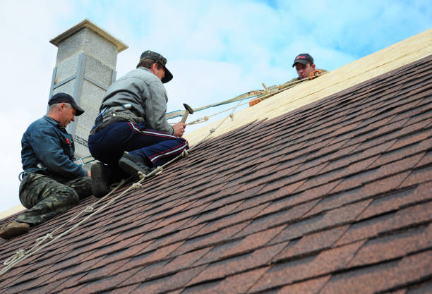 Best Roof Maintenance Services  in Mitchellville, MD